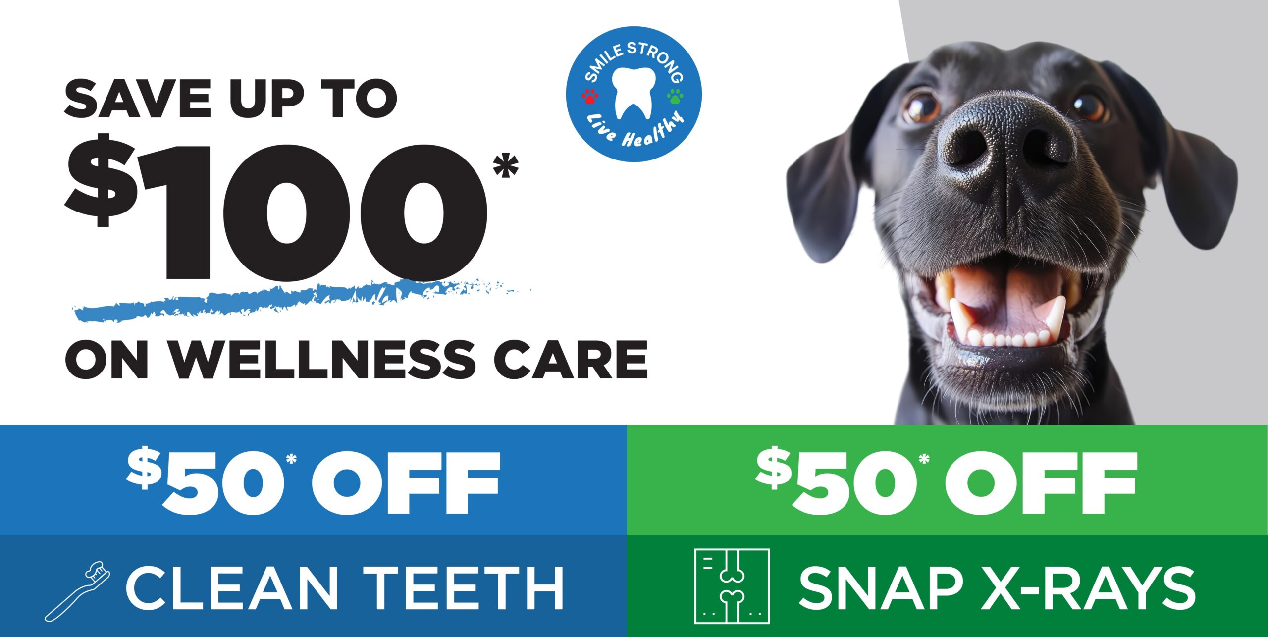 Dental_10_Landing_Page_Graphic